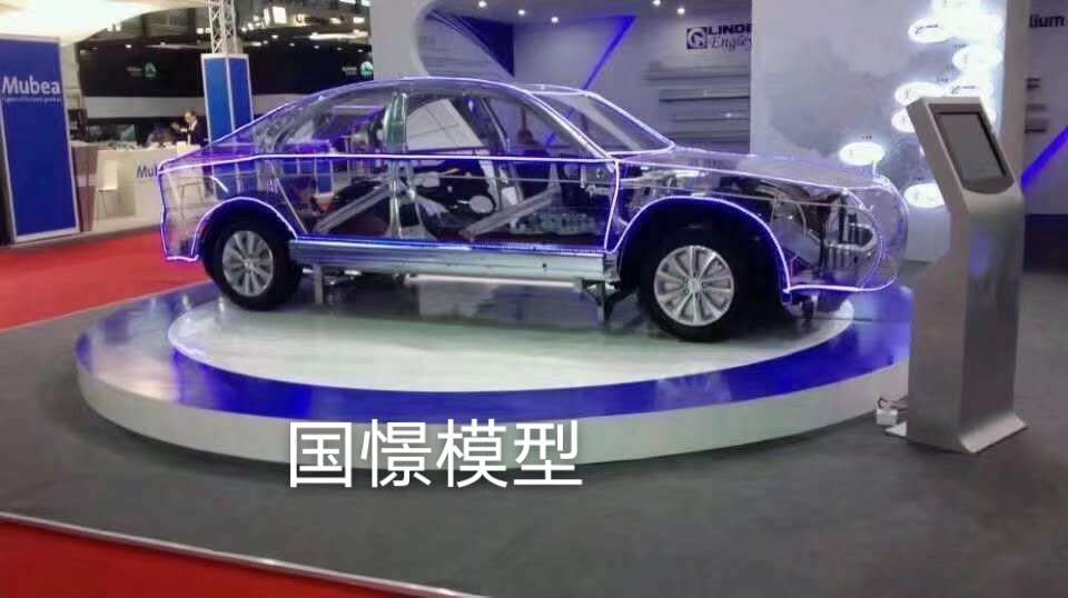 察隅县透明车模型